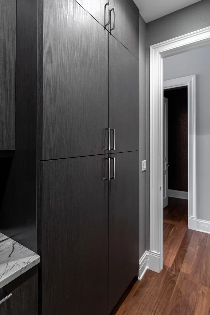 Chicago Chic Home Renovation project image 12