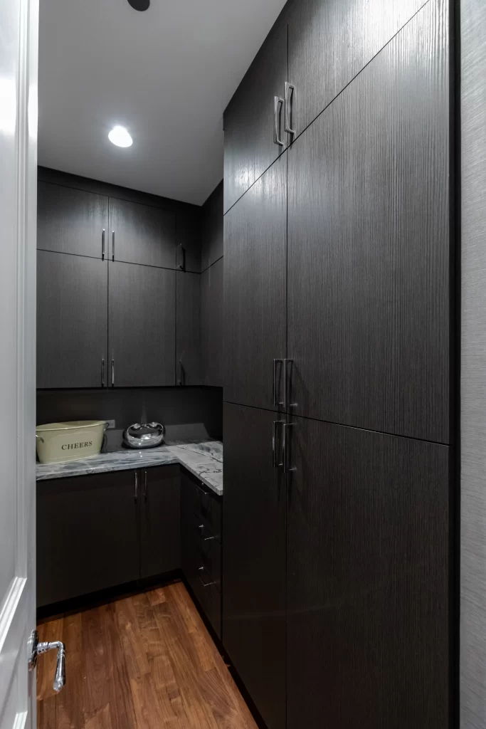 Chicago Chic Home Renovation project image 10