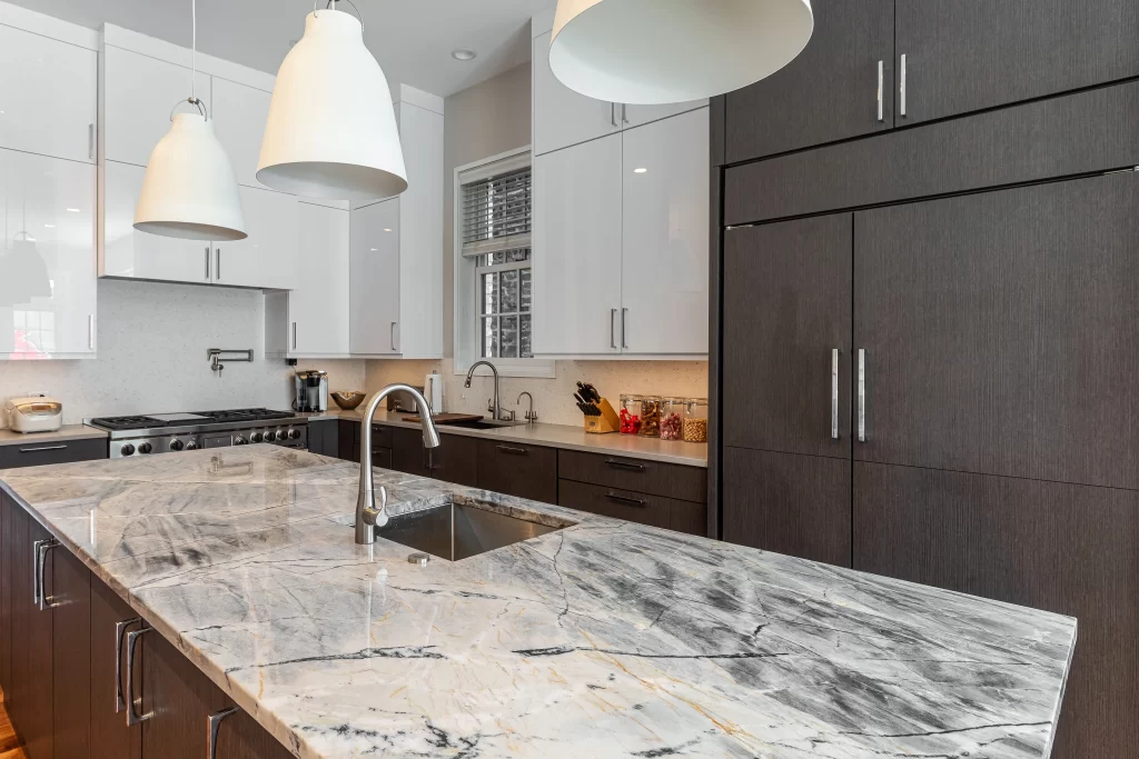 Chicago Chic Home Renovation project image 19