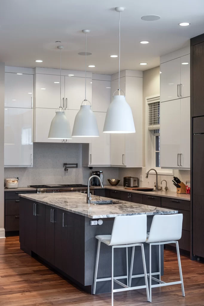 Chicago Chic Home Renovation project image 21
