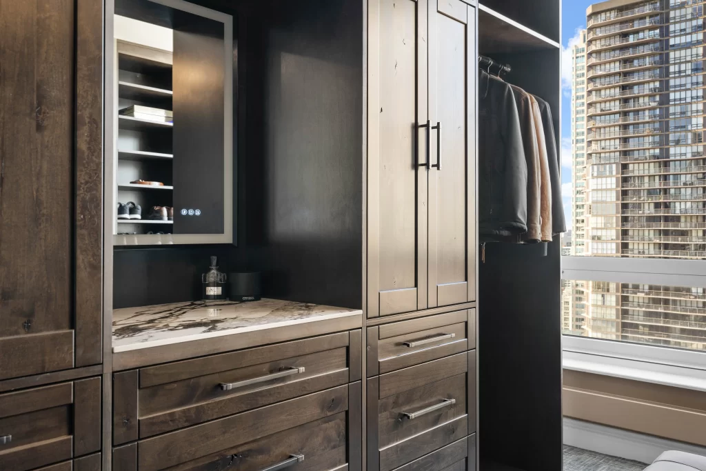 Chicago Sleek  Custom Closet & Shades project image 19