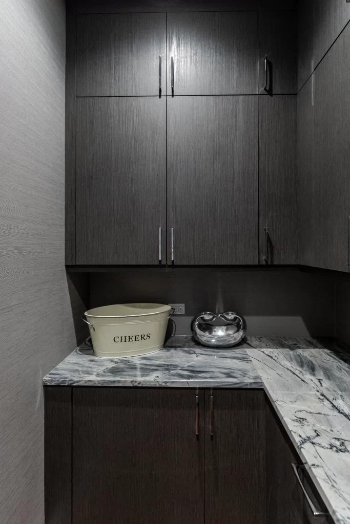 Chicago Chic Home Renovation project image 11