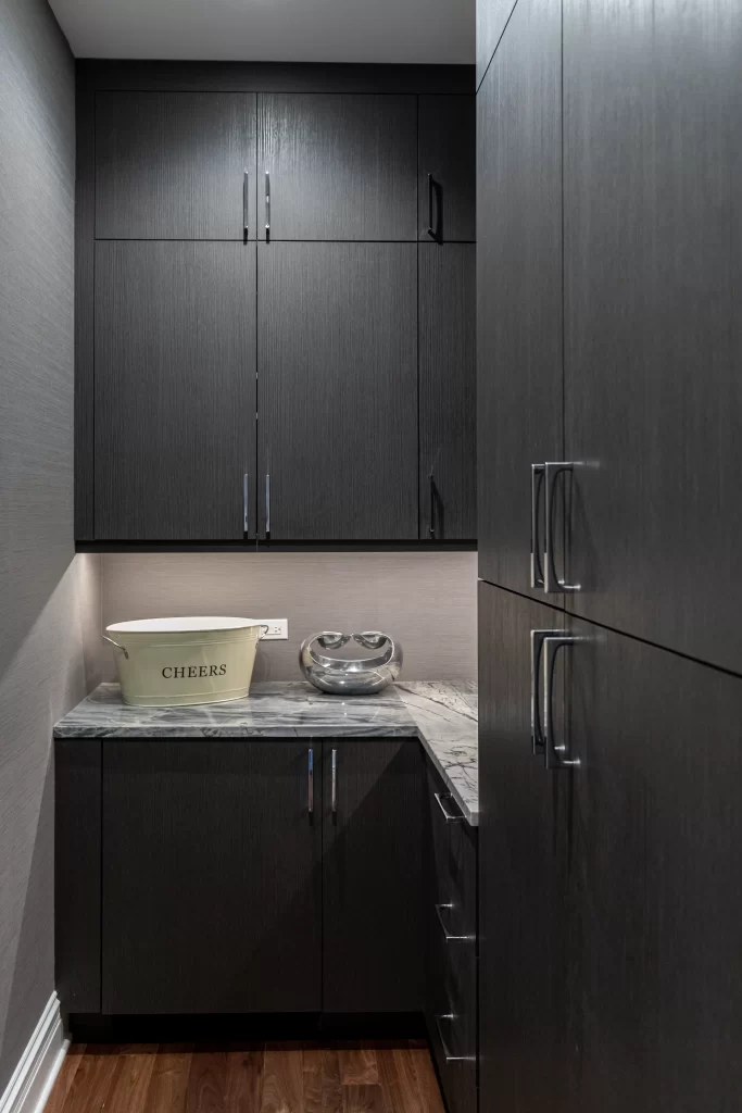 Chicago Chic Home Renovation project image 13