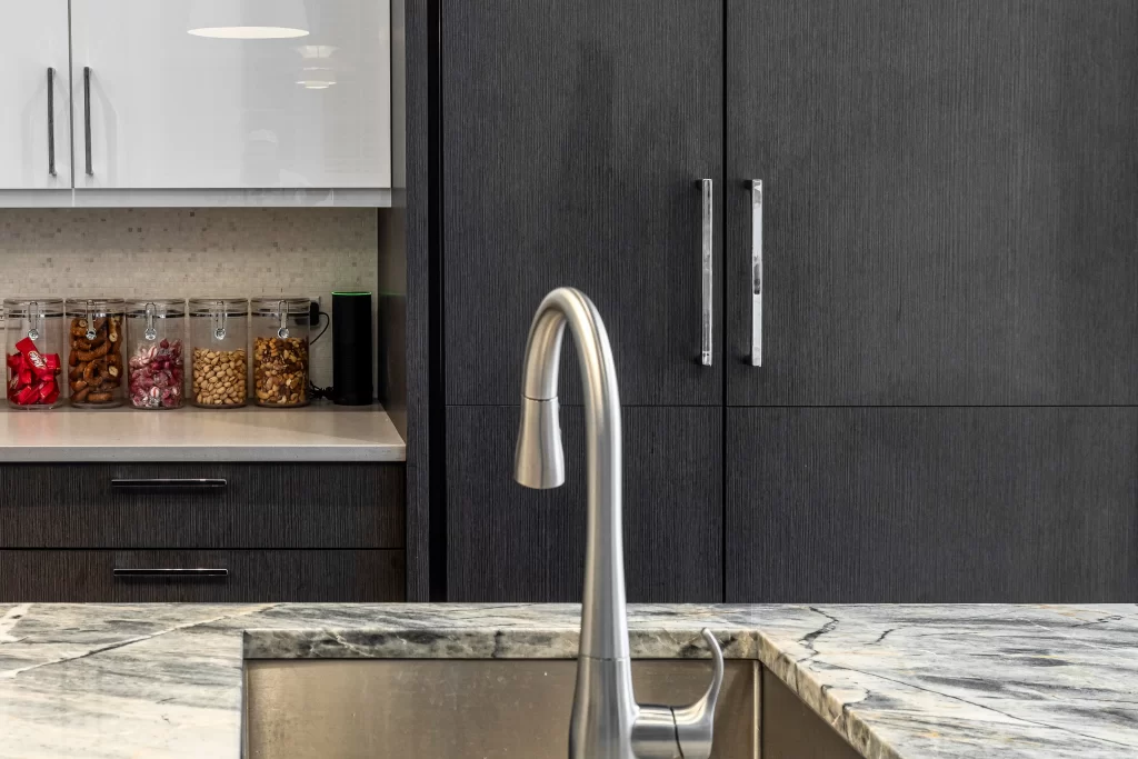 Chicago Chic Home Renovation project image 1