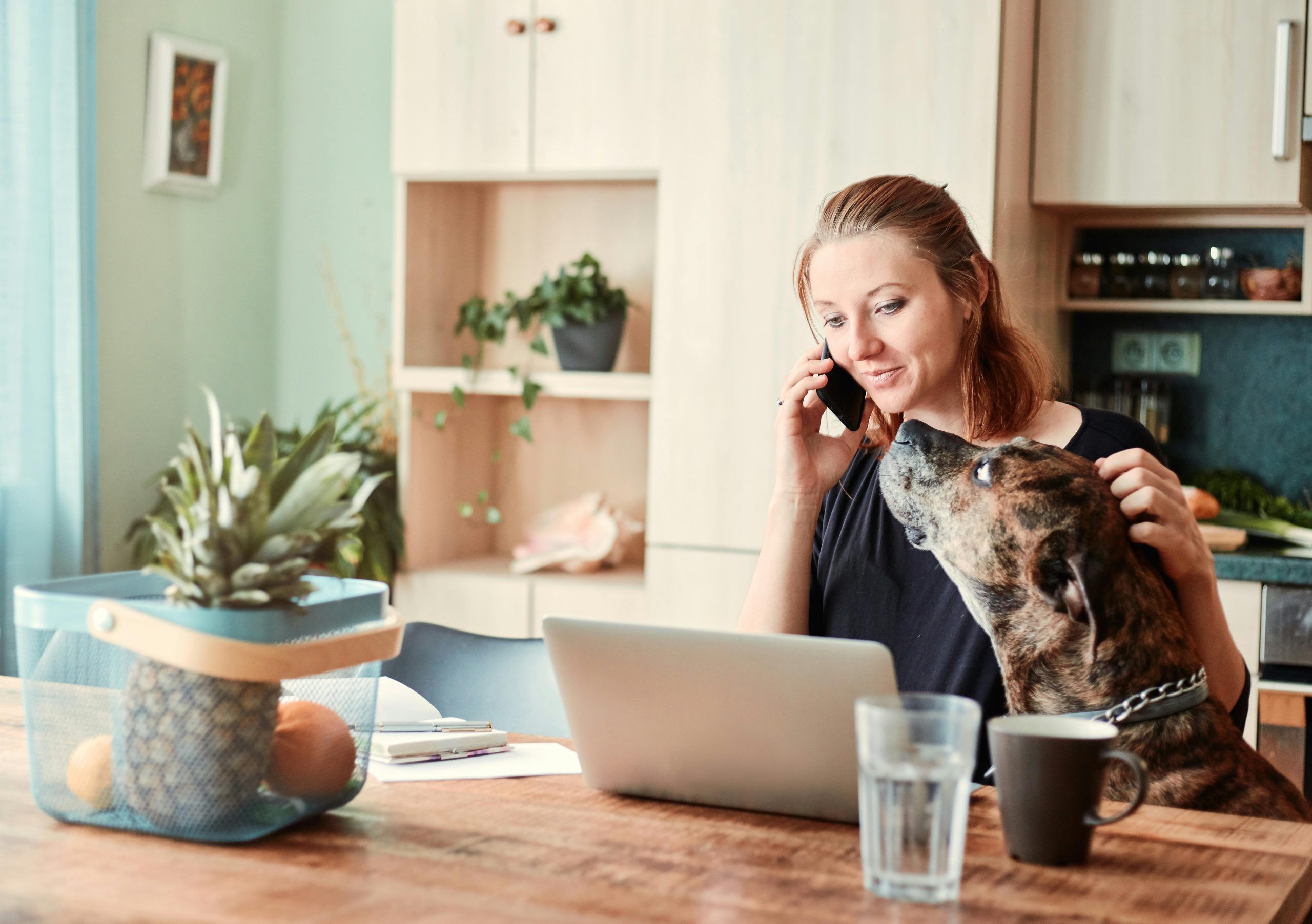 Top Cabinet Material Choices for Pet-Friendly Kitchens
