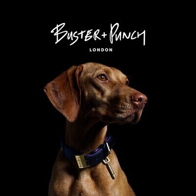 Buster + Punch