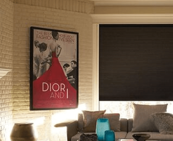 Hunter Douglas Duette®