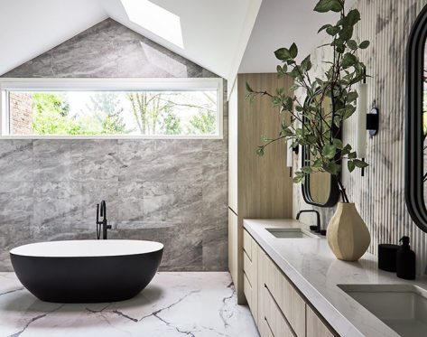 Wellness + Biophilic Design